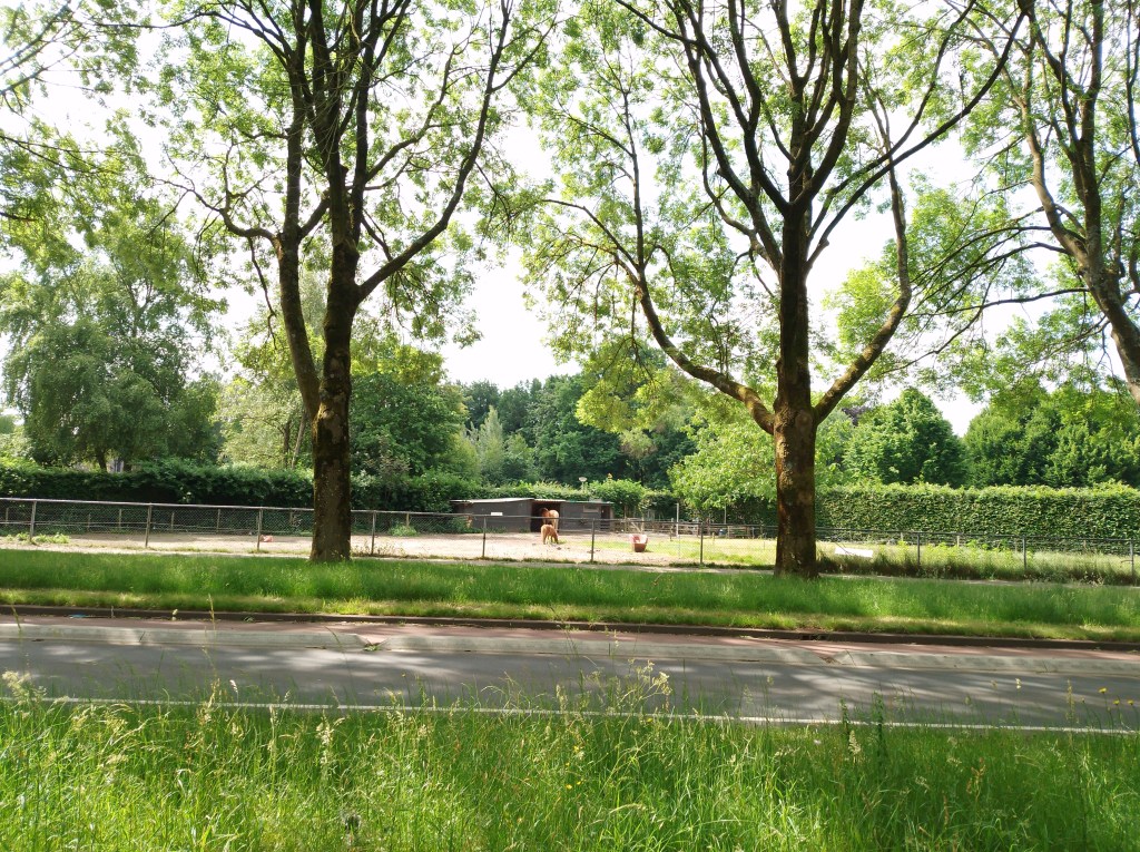 Een stukje geschiedenis.